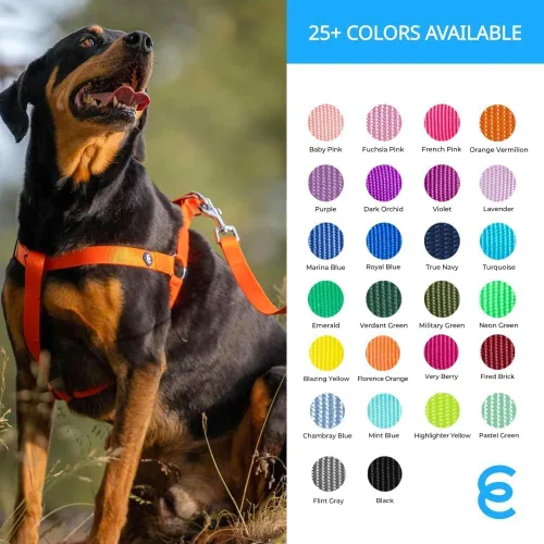 Miniatura 16 de Blueberry Pet Essentials - Correa de perro azul cambray para perros medianos - 5' * 3/4" Correa de nailon resistente Correa ligera