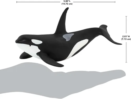 Miniatura 3 de Safari Ltd. Figura de orca Wild Safari Sea Life - Figura realista de modelo de ballena asesina de 6 pulgadas, juguete educativo para niños y niñas a