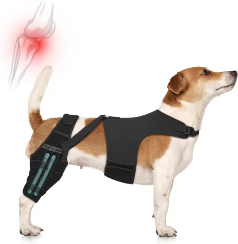 Rodillera para perro, pierna trasera, ajustable, con 4 estabilizadores, soporte de cadera para reducir el dolor, lesiones en los ligamentos y rótula