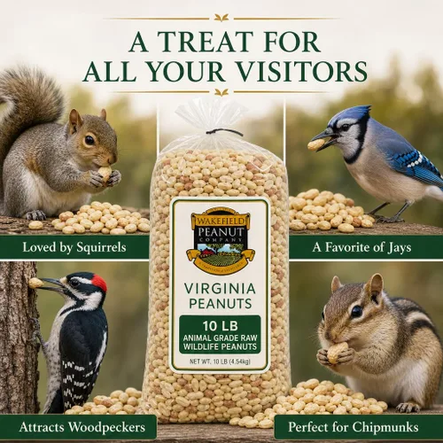Miniatura 4 de Wakefield Virginia Peanuts - Cacahuetes de vida silvestre crudos de grado animal, 20 libras
