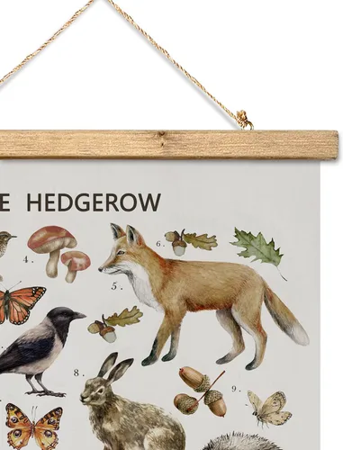 Miniatura 3 de XIAOAIKA Póster Educativo de Vida Silvestre de Seto Británico - Cuadro Ilustrado de la Naturaleza con Marco de Madera - Arte de Pared de Animales