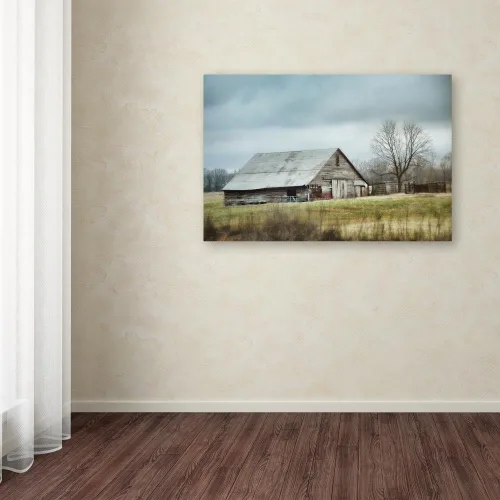 Miniatura 3 de Jai Johnson - Lienzo decorativo para pared, diseño de granero gris antiguo, 22 x 32 pulgadas