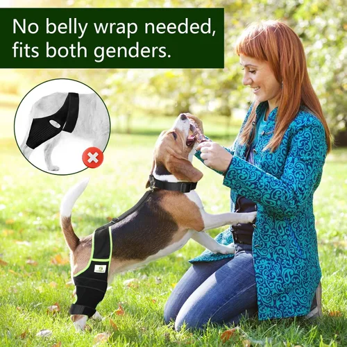 Miniatura 7 de Rodillera de perro para patas traseras con cuello y correa adicionales, alivia el dolor y las molestias en las articulaciones, mejora la movilidad