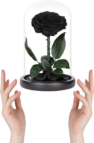 Miniatura 3 de Rosas preservadas, rosas negras en cúpula de cristal, medianas, flores preservadas para el día de la madre, regalos para mujeres