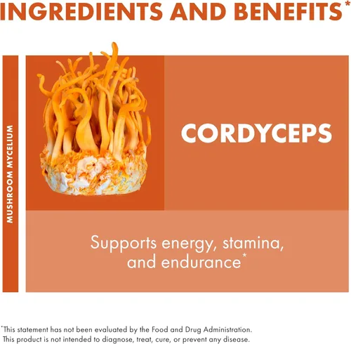 Miniatura 6 de Host Defense® Cordyceps Cápsulas, 30, 1