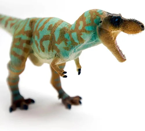 Miniatura 4 de Safari Ltd. Figura de Albertosaurus – Figura detallada de plástico de 10 pulgadas – Divertido juguete educativo de dinosaurio para niños, niñas