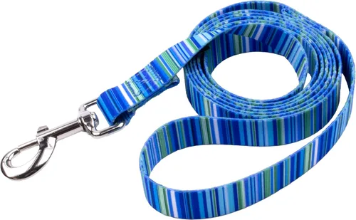 Miniatura 23 de Country Brook Design® Correa para perro Native Arizona de 1 pulgada - 6 pies Arizona nativa