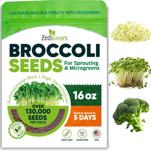 ZestiGreens Semillas de brócoli para germinar 16 onzas – Semillas de microgreens orgánicas sin OMG – Brotes de brócoli ricos en sulforafano,
