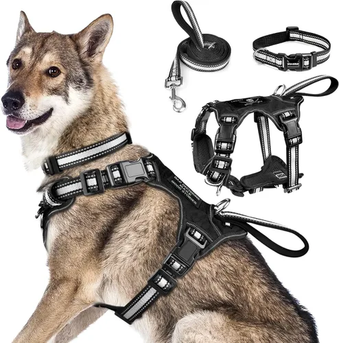 Miniatura 30 de WINSEE - Juego de arnés, collar y correa para mascotas, todo en uno, arnés reflectante para perros sin tirones con hebillas ajustables para Rojo