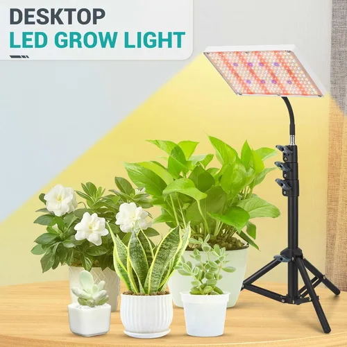 Miniatura 5 de DragonLight Luces LED de cultivo mejoradas con soporte, luz de crecimiento regulable de espectro completo con control remoto para invernadero