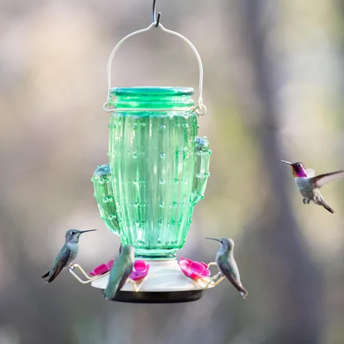 Miniatura 11 de Perky-Pet Comedero para colibríes de vidrio con relleno superior de cactus con protectores de abeja integrados y perchas extraíbles, capacidad