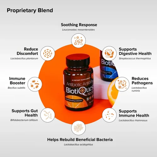 Miniatura 3 de BiotiQuest Probióticos antibióticos antibióticos para reequilibrar el cuerpo después de tomar antibióticos, 20 mil millones de UFC, sin OMG y sin