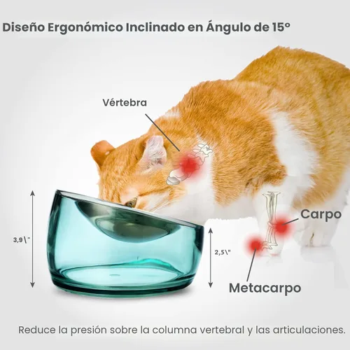 Miniatura 5 de Felli Oblik Cuencos Elevados para Comida de Gatos de Acero Inoxidable 304, Plato Plano Desmontable para Fatiga de Bigotes y Fácil Limpieza en Clásico
