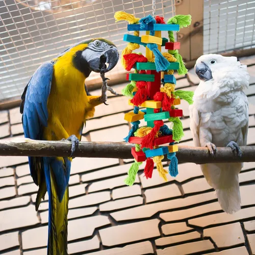 Miniatura 6 de Seenelling 3 piezas de juguete extra grande de loro de madera natural multicolor jaula de loro masticar juguetes para guacamayos grandes medianos