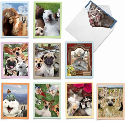 Miniatura 11 de The Best Card Company Juego de 10 notas de agradecimiento surtidas de 4 x 5.12 pulgadas con sobres (10 diseños, 1 cada uno) COMICAL CANINES: 10