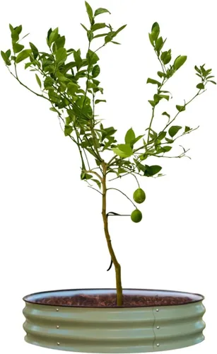 Miniatura 6 de Vego garden Bolsa de riego para árbol/anillo de 16 galones, bolsa de riego de PVC extremadamente resistente para árboles y arbustos, sistema
