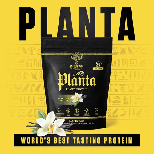 Miniatura 6 de Ambrosia Planta - Proteína prémium a base de plantas Apto para veganos y keto Sabores gourmet sin hinchazón ni malestar estomacal Sin gluten