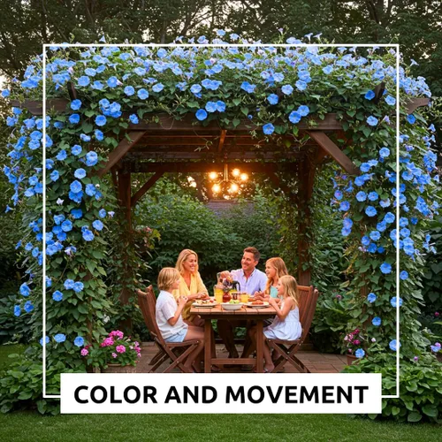 Miniatura 3 de Semillas de vid para plantar: cultiva enredaderas increíbles para paisajismo, paredes o cercas (azul gloria de la mañana)
