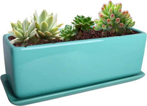 Miniatura 13 de Vencer Maceta rectangular moderna minimalista de cerámica para suculentas de 12 pulgadas, caja con ventana con platillo, soporte de escritorio