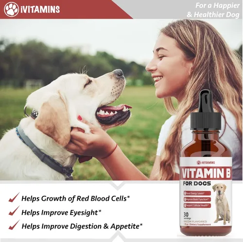 Miniatura 4 de Vitamina B para perros – Complejo de vitamina B para perros – Apoya la energía saludable, el apetito, la vista y mucho más – Vitaminas para perros
