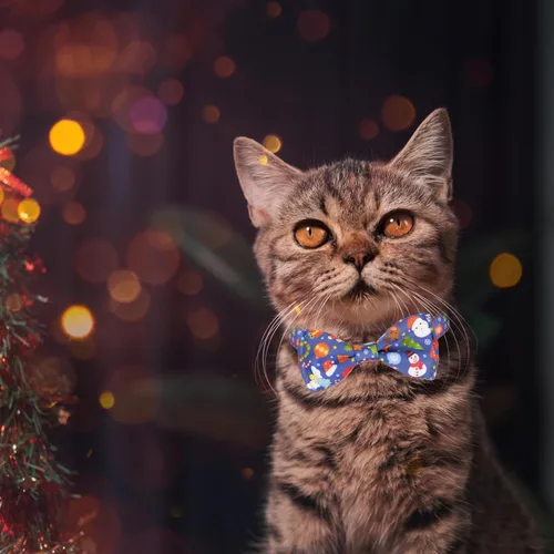 Miniatura 6 de Paquete de 2 collares de pajarita de gato de Navidad con campana, juego de collar ajustable festivo con dijes de árbol y campana, patrones de Papá