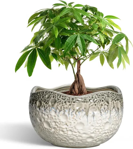 Miniatura 28 de Macetas de cerámica de 4 pulgadas para plantas con orificio de drenaje y tapón, macetas redondas para plantas de interior y exterior, macetas