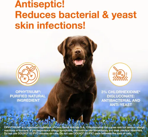 Miniatura 2 de Douxo S3 PYO Champú de clorhexidina para perros, champú medicado antibacteriano y antiséptico, tratamiento de infección por levaduras para perros