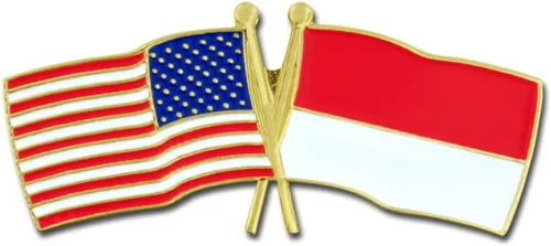 Miniatura 10 de PinMart Pin de solapa esmaltado con bandera de la amistad cruzada de Estados Unidos y el mundo