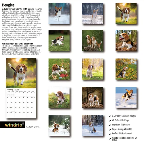 Miniatura 2 de Calendario de Pared 2026, Calendario 2026, noviembre de 2025 a diciembre de 2026, Calendario de Pared Beagles, 12" x 24" abierto, página completa