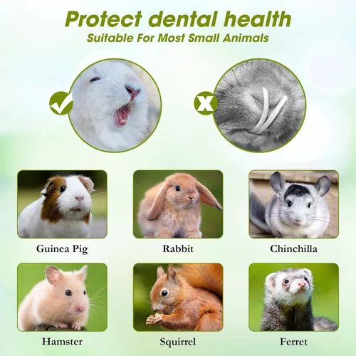 Miniatura 8 de Abizoo Juguetes masticables de conejo para conejo, madera de papaya natural, golosinas masticables con heno de alfalfa orgánica, zanahoria seca