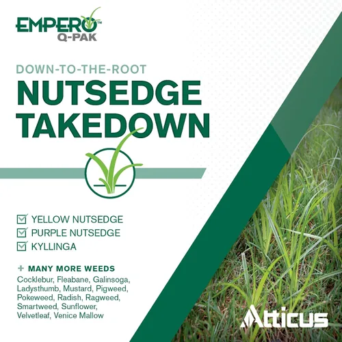 Miniatura 3 de Atticus Empero Q-Pak Nutsedge Killer (0.35 onzas) herbicida de césped – Mata el césped de nueces en céspedes establecidos, césped ornamental y áreas