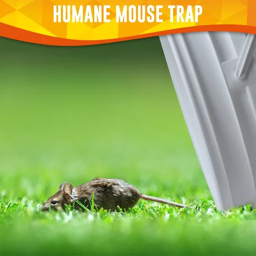 Miniatura 6 de Trampa para ratones, tapa de trampa de cubo para ratón, trampas humanas de reinicio automático, trampa de cubo de ratón transparente de 5 galones