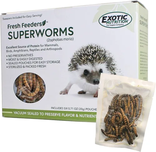 Fresh Feeders (Superworms) - Golosinas naturales de insectos con alto contenido de proteínas, bolsas de una sola porción - pollos, aves silvestres,