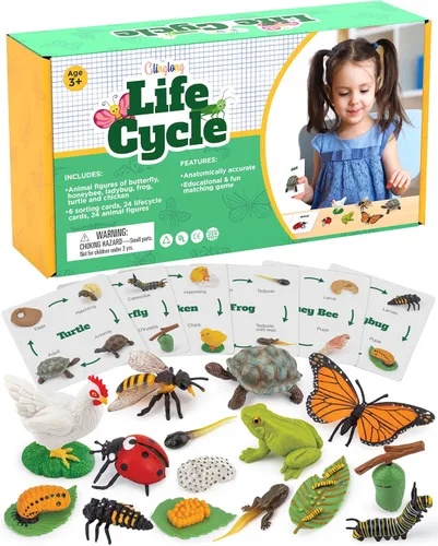 Kit de animales de ciclo de vida, juguete de ciencia Montessori con juego de 24 piezas, mariposa, rana, pollo, abeja, mariquita y tortuga, regalo
