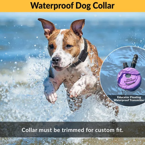Miniatura 5 de Collar de entrenamiento humano para perros Educator E-Collar con control remoto, 100 niveles seguros de estimulación por toque, luz nocturna, Púrpura
