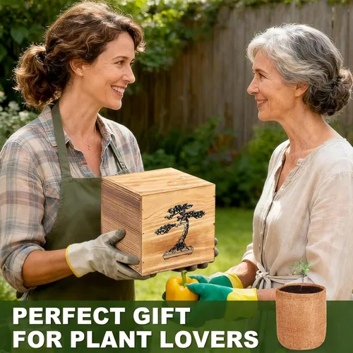 Miniatura 7 de Kit de árbol bonsái de 4 semillas, kit vivo de árbol bonsái para principiantes, fácil de cultivar, kit completo de inicio de jardín