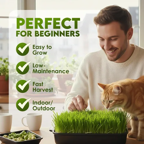 Miniatura 4 de Nature Jims Sprouts Semillas de pasto de trigo – Semillas orgánicas sin GMO para plantar, kit de plantador de hierba gatera y germinación – Bolsa