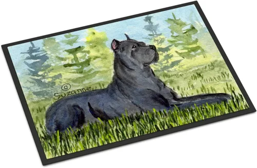 Miniatura 96 de Caroline's Treasures SS8220MAT - Felpudo afgano de 18 x 27 pulgadas, para interiores y exteriores, para entrada, antideslizante, lavable, de pelo