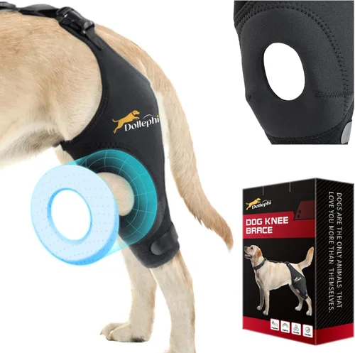 Miniatura 16 de Rodillera para perro para pierna trasera desgarrada del ligamento cruzado anterior, compresión caliente/fría para luxación de rótula u