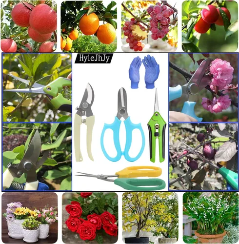 Miniatura 6 de Tijeras de podar de jardín, tijeras de jardín, tijeras de hierbas, tijeras de floristería, tijeras florales, tijeras de bonsái, podadora de mano