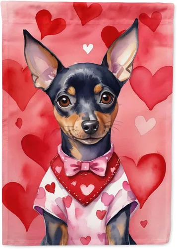 Miniatura 88 de Caroline's Treasures DAC5292CHF - Bandera de Border Collie My Valentine House para porche, grande, con manga para porche, para colgar en la pared