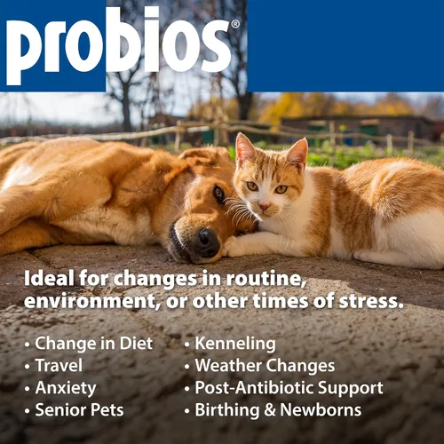 Miniatura 6 de Probios Probiocin - Gel oral para mascotas para perros y gatos, suplemento probiótico para apoyo digestivo e inmunológico, tubo de 0.51 onzas