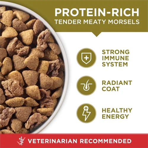 Miniatura 8 de Purina ONE Comida seca para perros con fórmula de cordero y arroz, bolsa de 16.5 libras