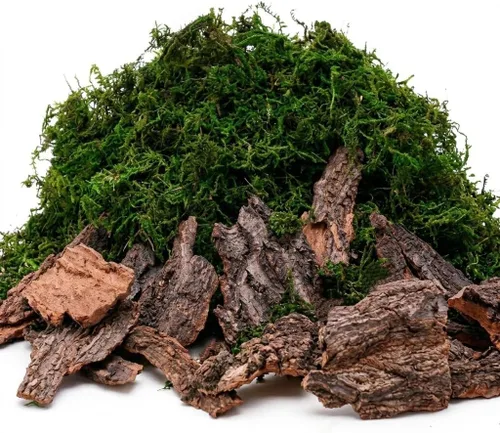 BYHER Musgo Falso para Manualidades, Accesorios Surtidos de Corteza de Árbol para Jardín de Hadas, Musgo Verde para Decorar, Corteza de Árbol para