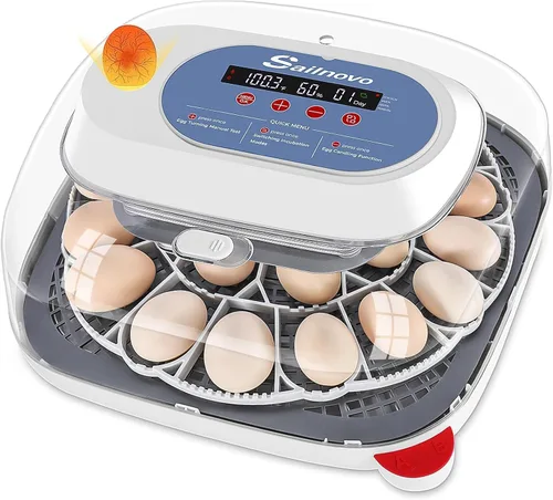 Sailnovo 24 incubadoras de huevos para incubar huevos, control automático de temperatura y giro de huevos, vela de huevos, incubadora de visión