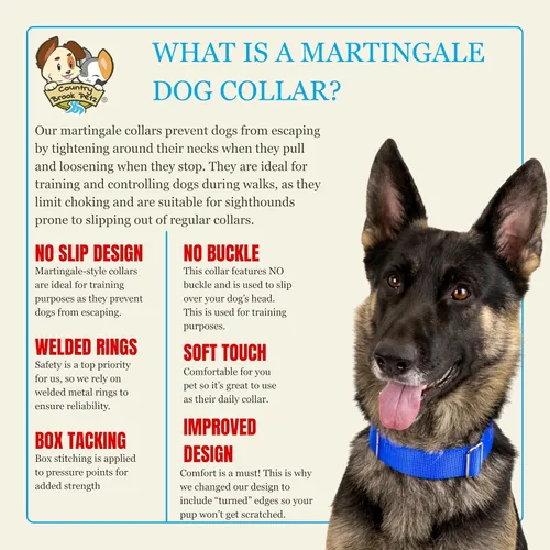 Miniatura 6 de Country Brook Design - Collar ancho para perro, ajustable para razas grandes - Collar de perro de nailon sólido Martingala
