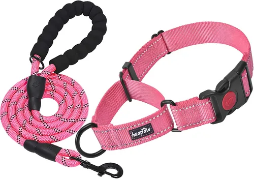 Miniatura 7 de haapaw Paquete de 2 collares de perro Martingale con hebilla de liberación rápida reflectantes, collares de entrenamiento para perros pequeños, Negro