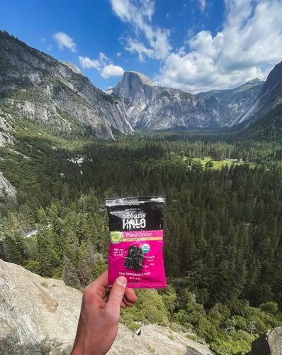 Miniatura 2 de Ocean's Halo Snacks de algas orgánicas – Cebolla Maui, sin bandeja, veganos, crujientes salados, paquete de 20 (0.14 onzas cada uno)