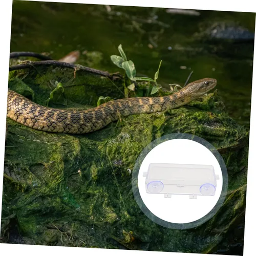Miniatura 7 de Beavorty Tazón de alimentación de lagarto con ventosa, comedero de reptiles, reptiles, reptiles, reptiles, comedero de gecko, plato de gusano