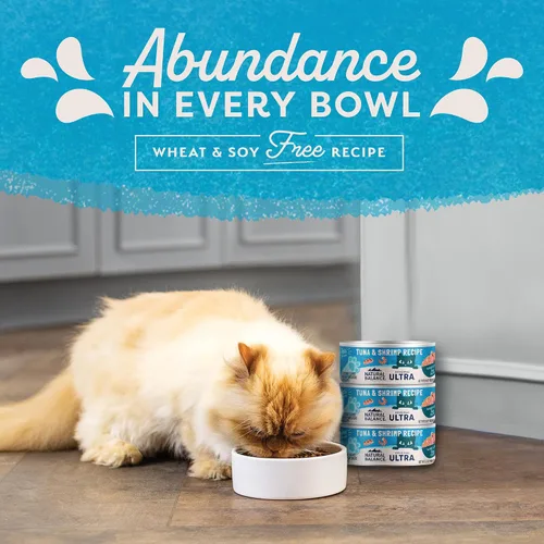 Miniatura 9 de Natural Balance Original Ultra - Alimento enlatado húmedo para gatos, receta de atún y camarones, 5.5 onzas (paquete de 24)